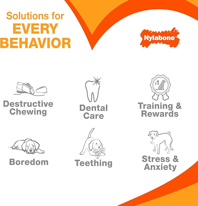 Nylabone Textured Bone Power Chew Toy for Dogs, Durable & Tough Dog Toys for Aggressive Chewers, Beef Jerky Flavor, X-Small Dogs - Up to 15 lbs, 1 Count