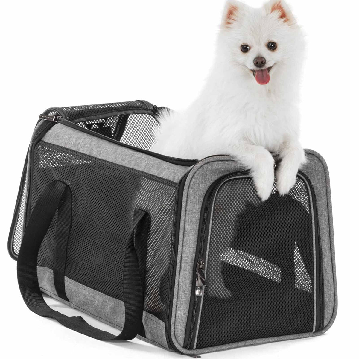 PETSFIT Large Cat Car Carrier,19 x 12 x 12