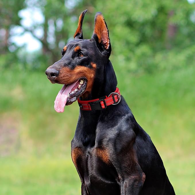 EXCELLENT ELITE SPANKER Reflective Dog Collar Classic Soft Padded Breathable Nylon Adjustable Pet Collar with Quick Release Buckle for Boy Girl Male Female Small Medium Large Dogs Training(Red-M)