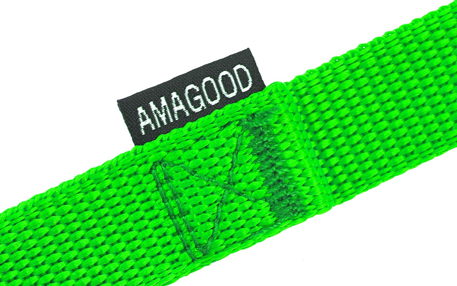 AmaGood Dog/Puppy Obedience Recall Training Agility Lead-15 ft 20 ft 30 ft 50 ft Long Leash-for Dog Training,Recall,Play,Safety,Camping (30feet, Green)