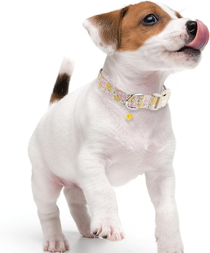 Faygarsle Floral Girl Dog Collar, Pink and Yellow Summer Spring Design for Small Medium Large Dogs, M