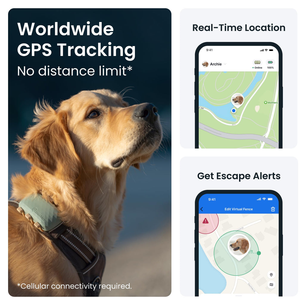 Tractive XL Smart Dog GPS Tracker | Live Pet Tracker with Virtual Fence | Vital Signs Monitoring of Heart & Respiratory Rate | Up to 1-Month Battery Life | Dog Collar Attachment (Green)