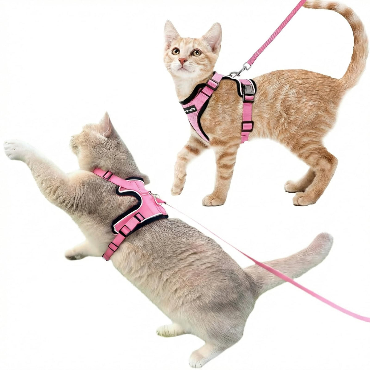 Luxelle 2 Pack Escape-Proof Cat Harness and Leash Set for Walking – Adjustable No Pull Soft Vest with Easy-Wear Buckle, Reflective Straps, Breathable Mesh – Outdoor Travel Harness for Cats & Kittens