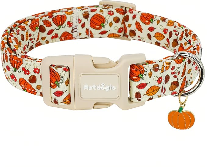 Astdogio Halloween Dog Collars, Fall Dog Collar for Dogs, Fun Multi-Color Pumpkin Dog Collars for Large Dogs, Adjustable Cotton Large Dog Collar Puppy Collar for Halloween & Thanksgiving — XS