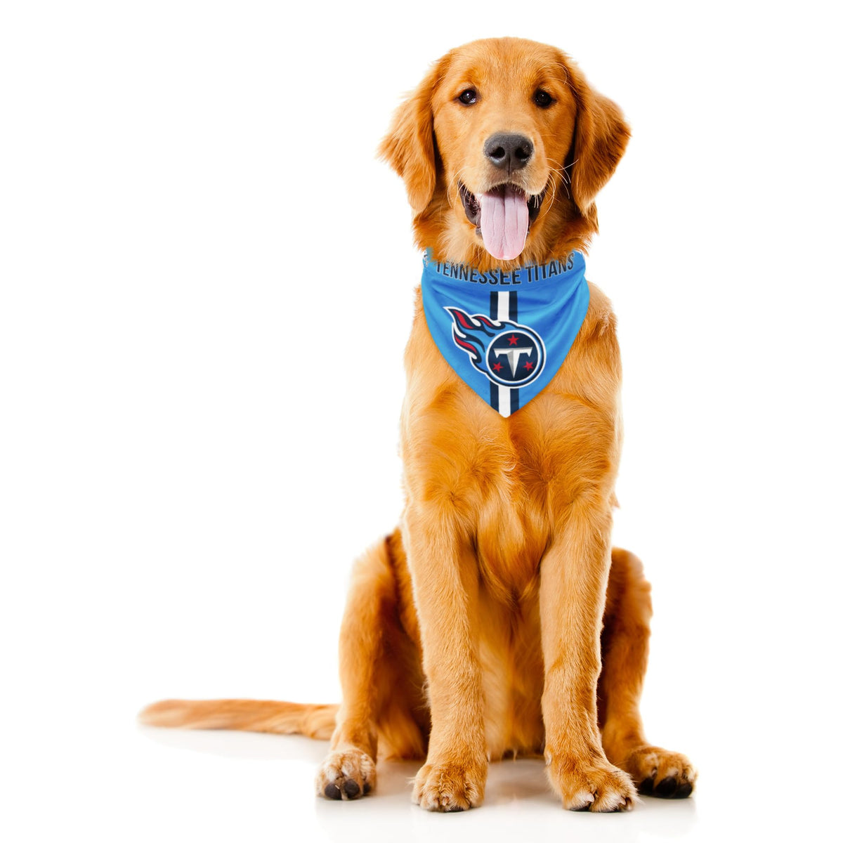 Littlearth NFL Seattle Seahawks Pet Bandana, Team Color, Medium