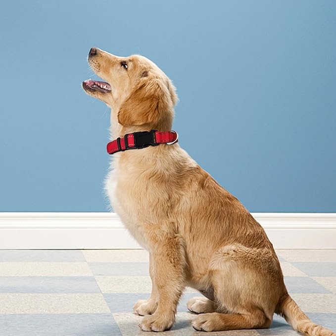 Reflective Dog Collar, Adjustable Soft Neoprene Padded Nylon Pet Collars with Buckle for Extra Large Dogs, Red,XL