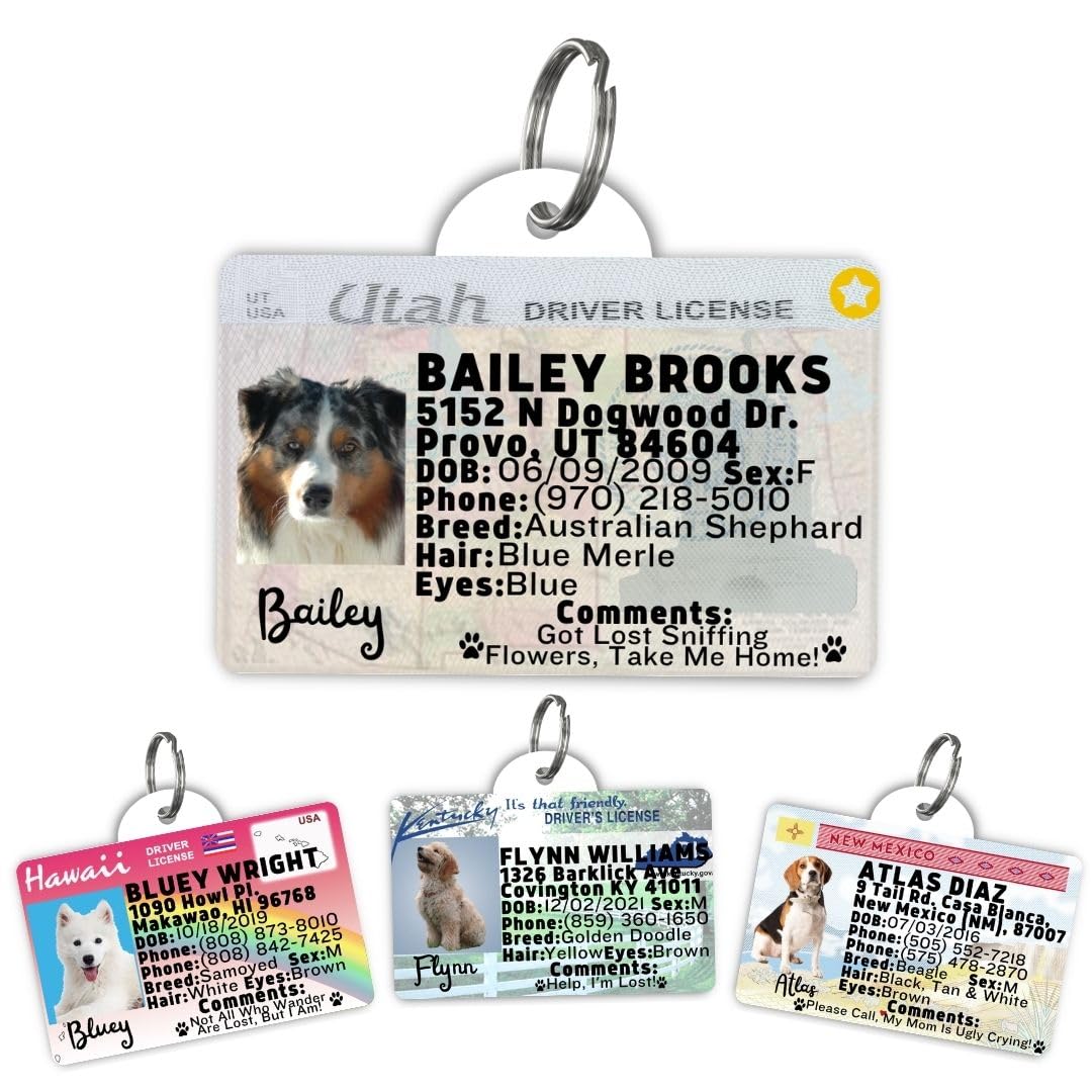 Dog Tags Personalized, Dog ID License Tag for Pets (Washington, Tag)