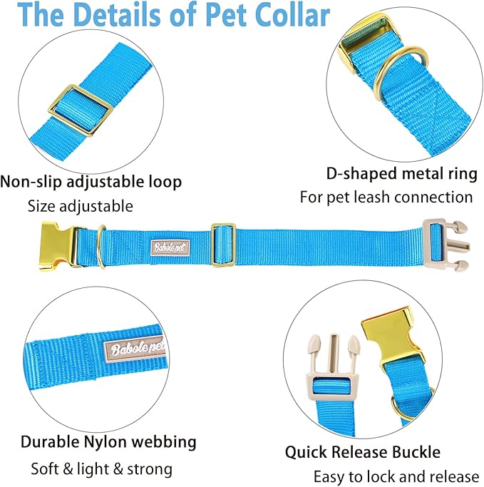 Nylon Dog Collar - Adjustable Blue Soft Webbing Dog Collars for Small Medium Large Dogs Boy Girl Puppy Collar with Safety Metal Buckle M