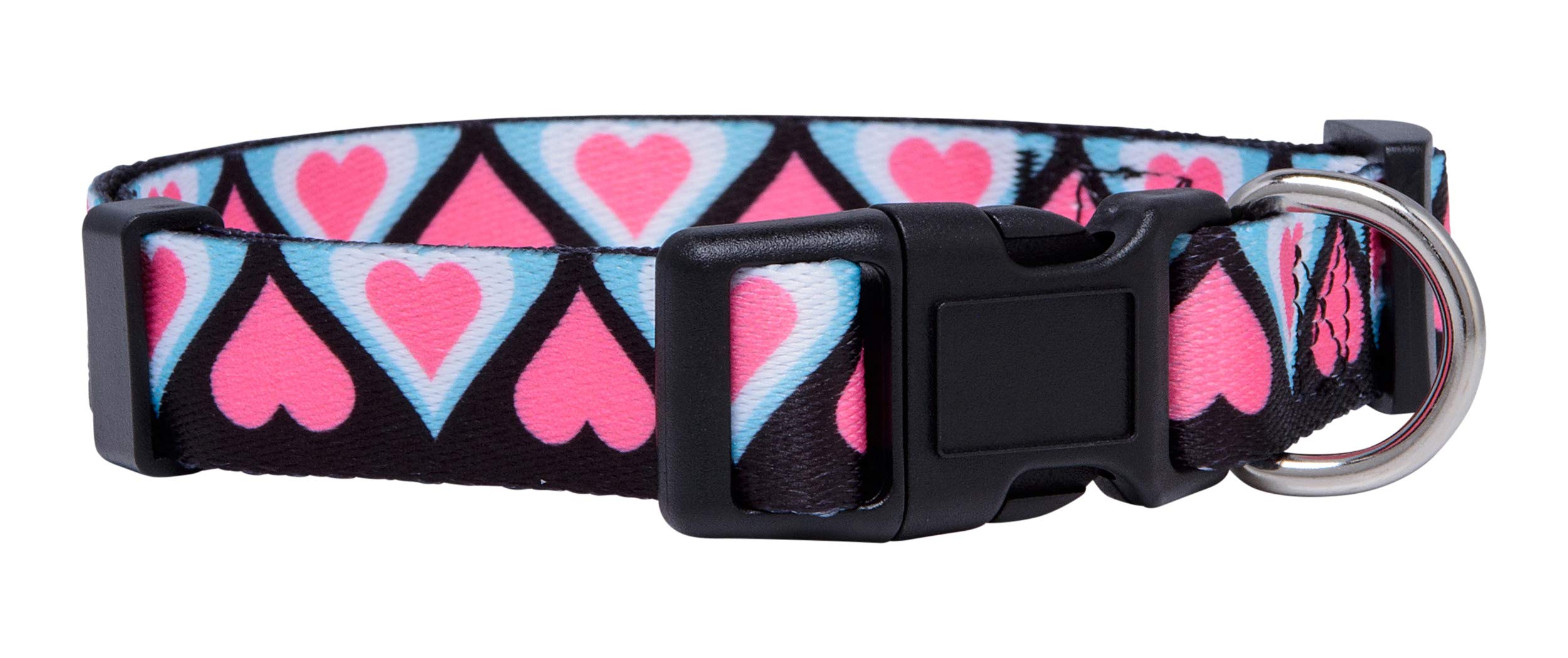 Native Pup Valentine’s Dog Collar- Valentines Day Pet Collars- Valentine Girly Hearts- Pink Red Heart- Cute Boy Girl Puppy Gift- Adjustable for Small, Medium, Large Breeds (Blue & Pink Hearts, Medium)