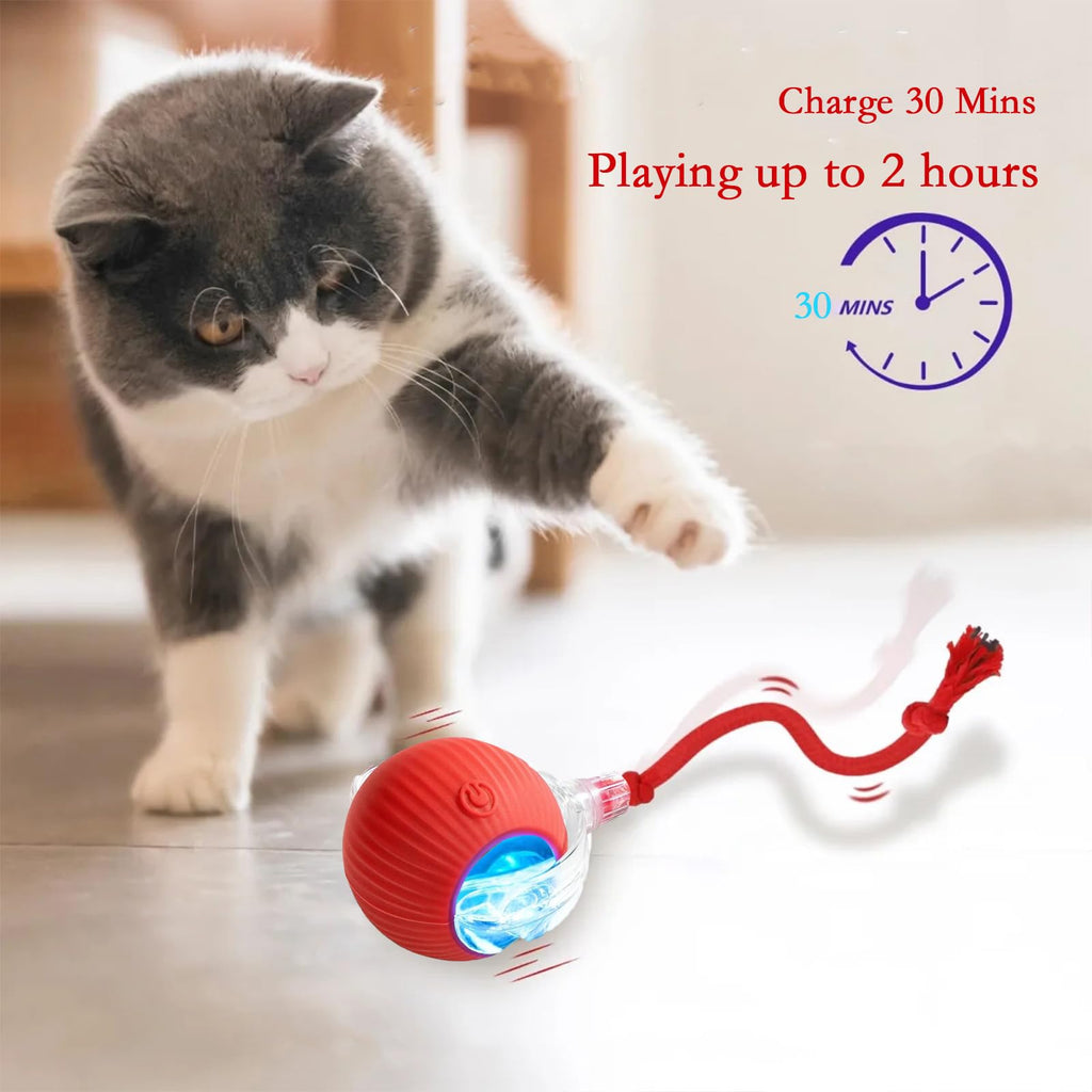 blueypet Upgrade Interactive Rolling Cats Toys Ball for Indoor