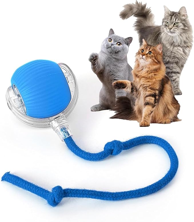 Rocfish Durable Interactive Cat Toys for Indoor Cats (Blue, 01)
