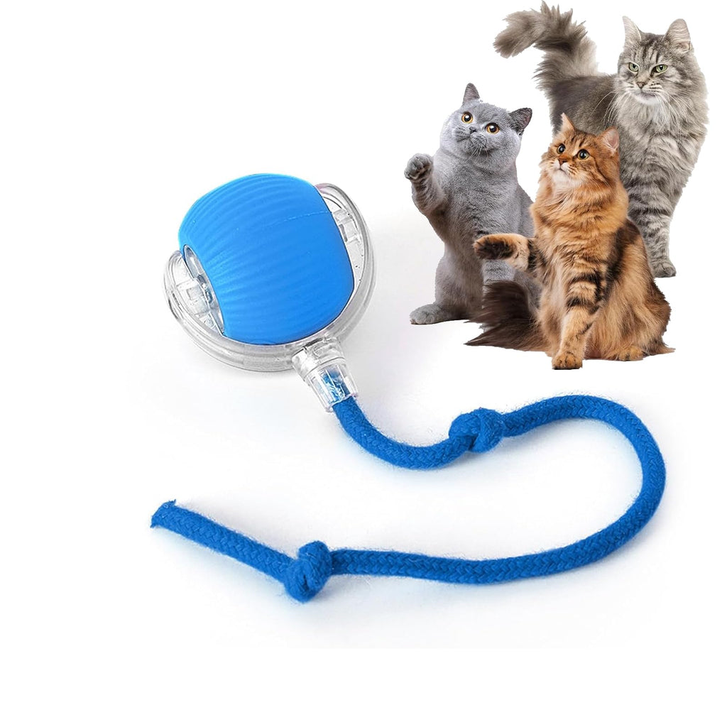 Rocfish Durable Interactive Cat Toys for Indoor Cats (Blue, 01)