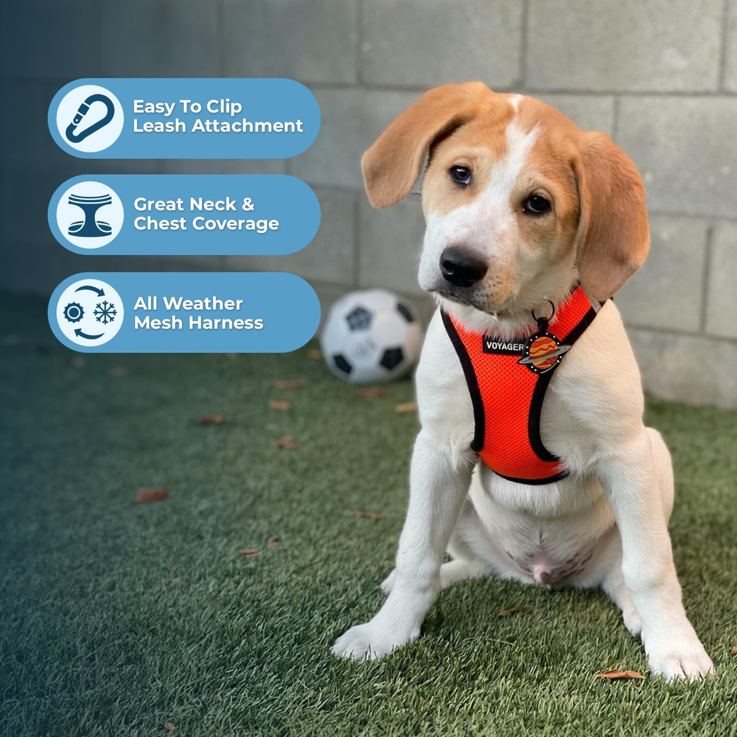 Best Pet Supplies Voyager Step-in Air All Weather Mesh Harness and Reflective Dog 5ft Leash Combo with Neoprene Handle, for Small, Medium and Large Breed Puppies - Orange/Black Trim, XX-Small