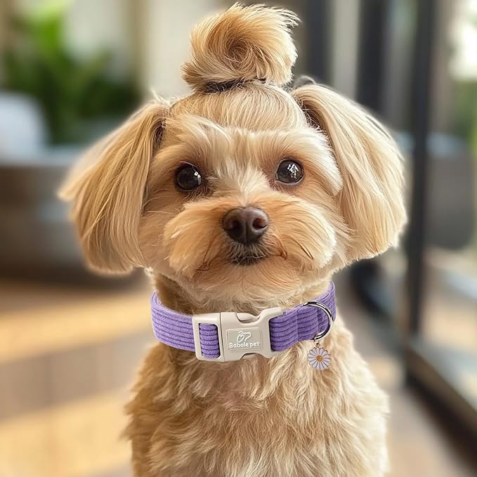Cute Corduroy Dog Collar - Lavender Adjustable Dog Collars for Small Dogs 10-25lbs, Fade-Proof with Secure Snap & Little Charm, Christmas Birthday Gift, S