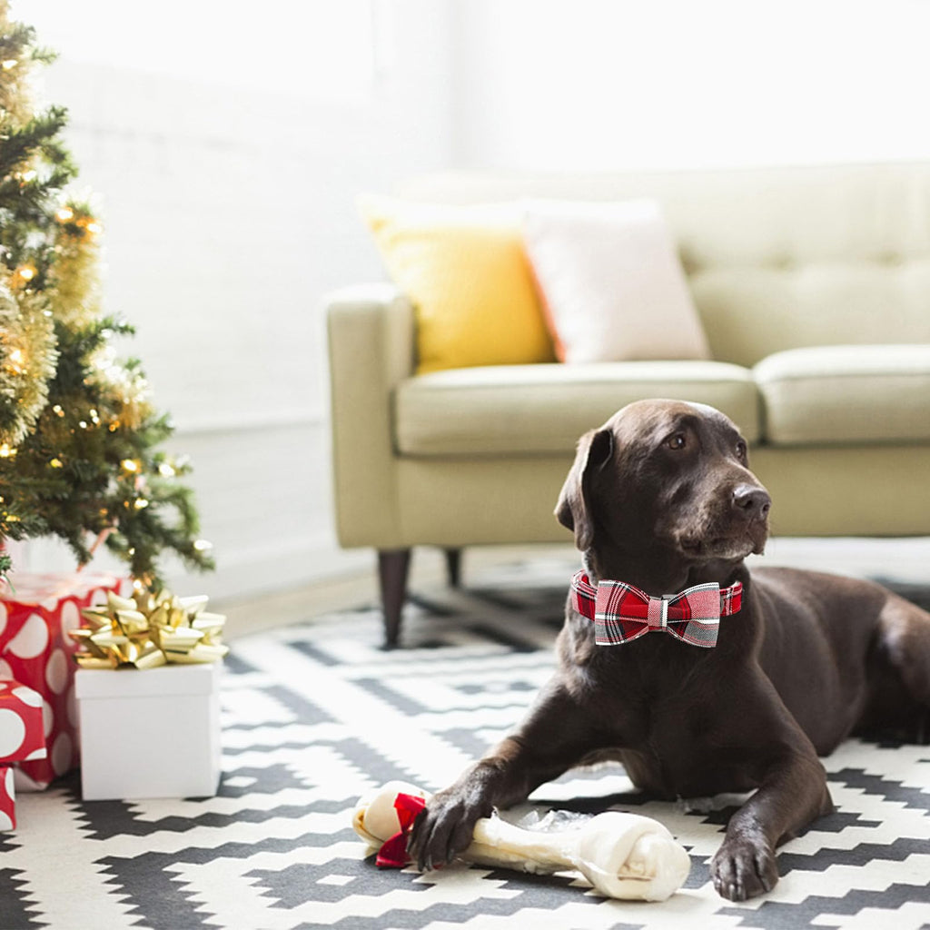 Bobo Rainbow Dog Collar, Christmas Dog Collar Plaid Pet Collar Bow Holiday Bows Girl Boy Puppy Collar Adjustable Pet Collar for Large Dogs