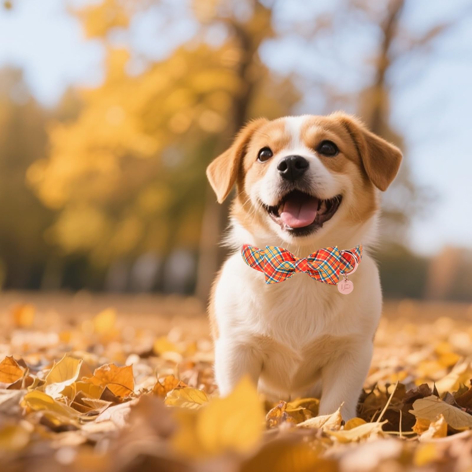 UP URARA PUP Autumn Plaid Dog Collar and Bow Tie Set – Orange Yellow Checkered Adjustable Fall Collar with Maple Leaf Charm for Small Medium Large Dogs, Soft Cotton Pet Collars with Buckle and D-Ring