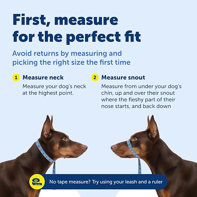 PetSafe Gentle Leader Headcollar - No-Pull Dog Collar for Better Walks - Adjustable for Snout-Specific Fit - Comfortable Head Harness - Large - Silver