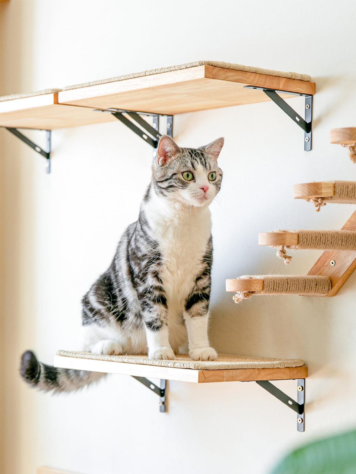 FUKUMARU Cat Wall Shelves, 17 x 10 Inch, Sisal Mat