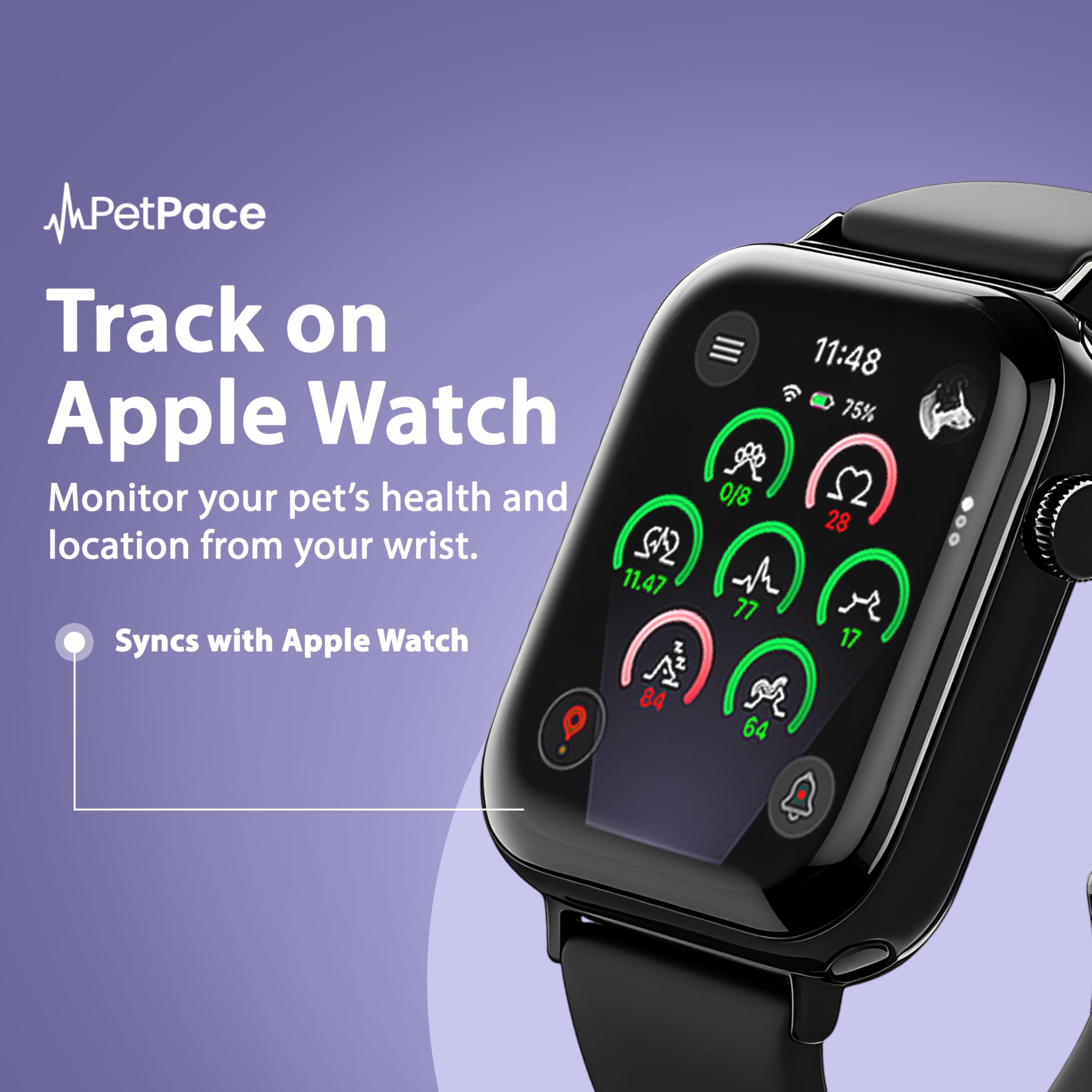 NEW Dog Health Monitor V3.0 by PetPace – AI Smart Collar with 24/7 Vital Signs, Pain & GPS Tracking, Telehealth AskaVet & Share With Your Vet, Smartwatch Sync – Subscription Required (Small)