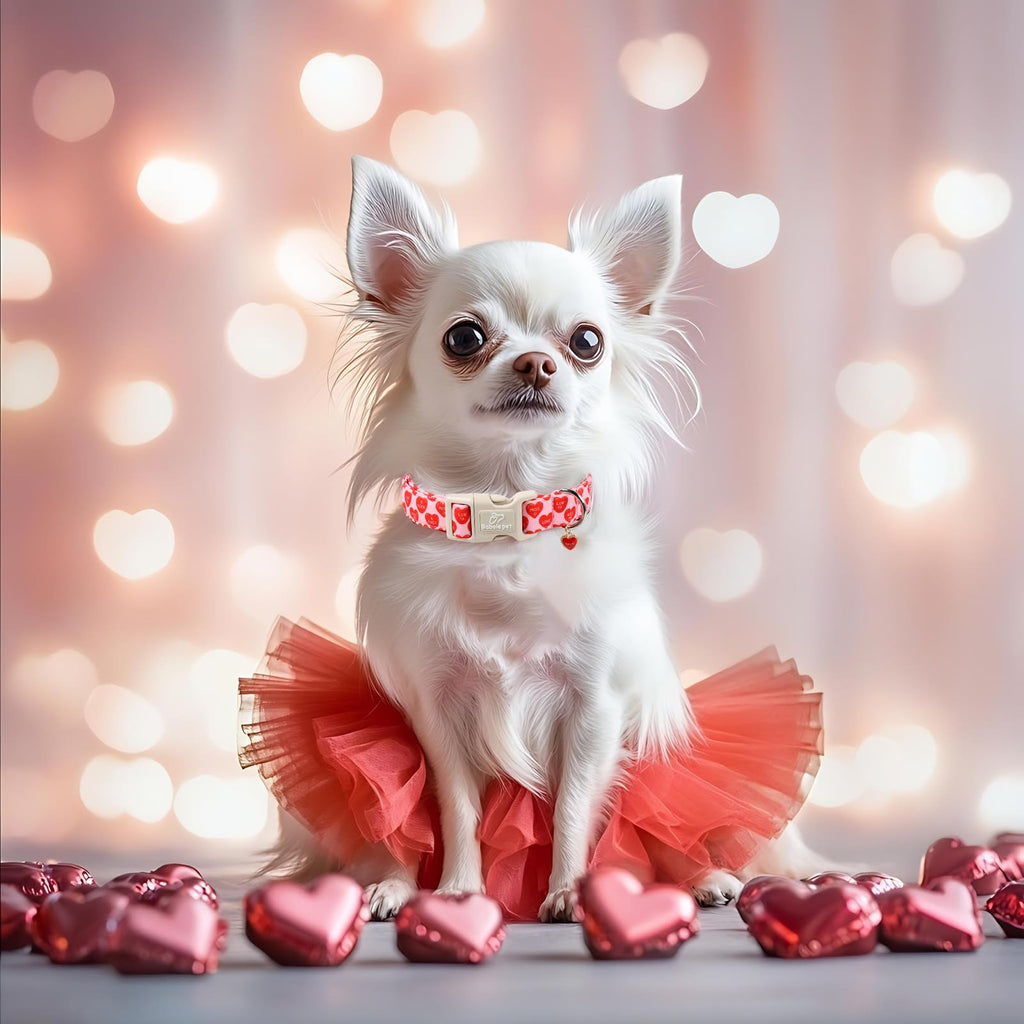 Babole Pet Valentines Dog Collar for Large Dogs - Valentine Red Conversation Hearts Dog Collars, Love Boy Girl Dogs Collars, Lightweight Adjustable Cute Puppy Collar with Quick-Release Buckle L
