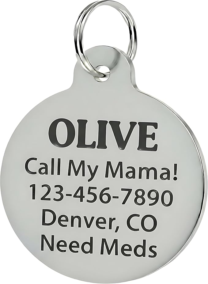 Bad Tags Personalized Dog and Cat ID Tags in 25+ Designs and 2 Sizes - 5 Lines of Custom Engraved Text - Funny Cute Personalized Pet Tags (Spoiled Rotten, Large (1.25 inch))