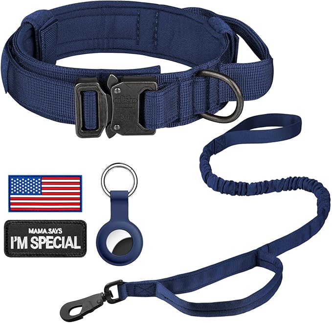 DAGANXI Tactical Dog Collar, Adjustable Military Training Nylon Dog Collar with Control Handle and Heavy Metal Buckle for Medium and Large Dogs, with Patches and Airtags Case (L