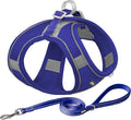 AIITLE Dog Harness, No-Pull Cat Harness with a Leash, Adjustable Reflective Dog Vest, Cat Harness Escape Proof, Outdoor Walking, Running,Training for Extra Small Dogs and House Cats Royal Blue XXXS