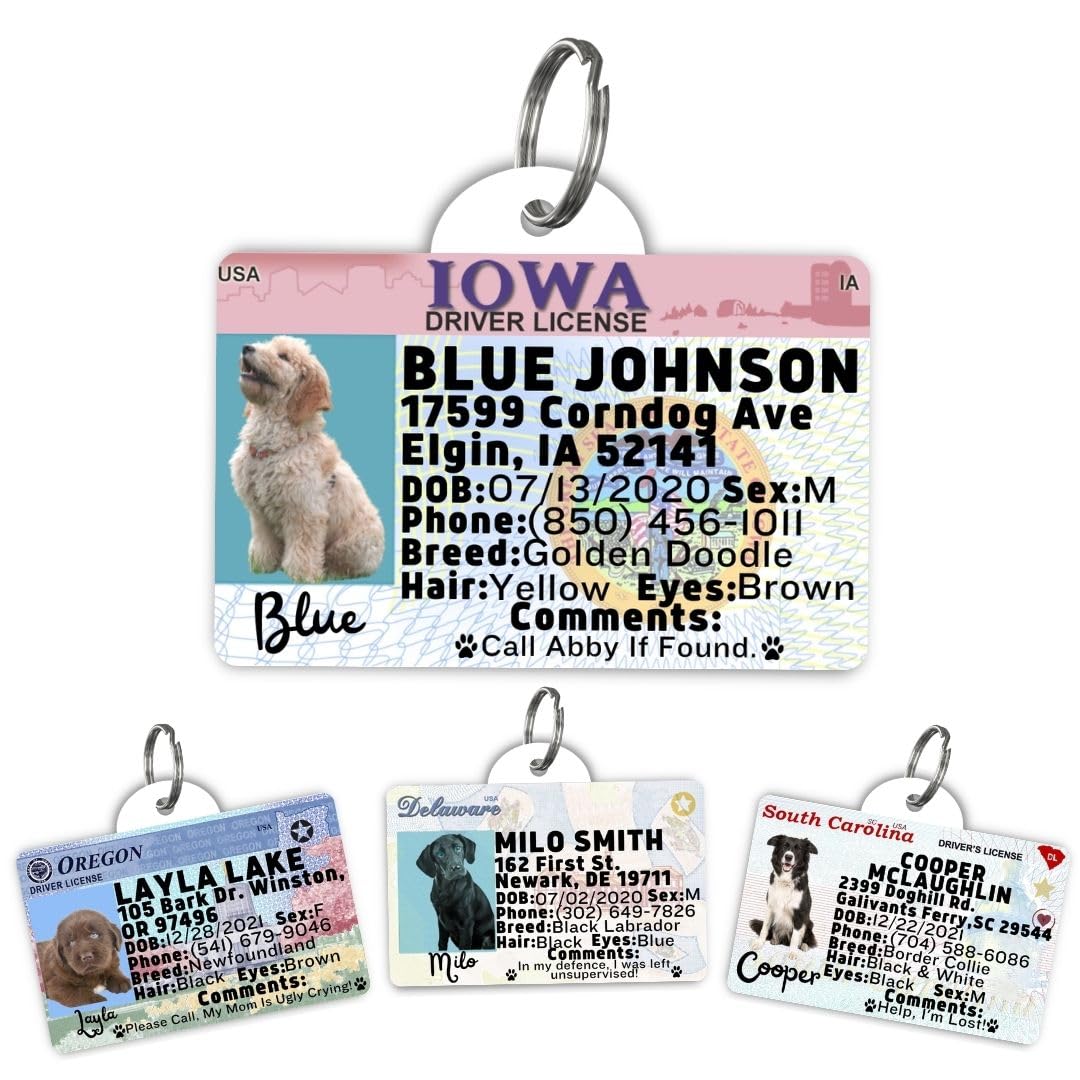 Dog Tags Personalized, Dog ID License Tag for Pets (Washington, Tag)