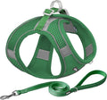 AIITLE Small Harness for Puppy with A Leash - Dog Vest Harness with Super Breathable Mesh, Reflective No-Pull Pet Harness for Outdoor Walking, Running for Small Dogs, Cats Green XXS