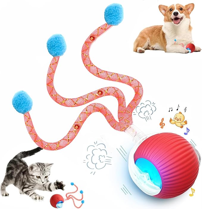 2 Packs Speed 2.0 Tail Interactive Cat Toys for Indoor Cats, Moving Cat Toy