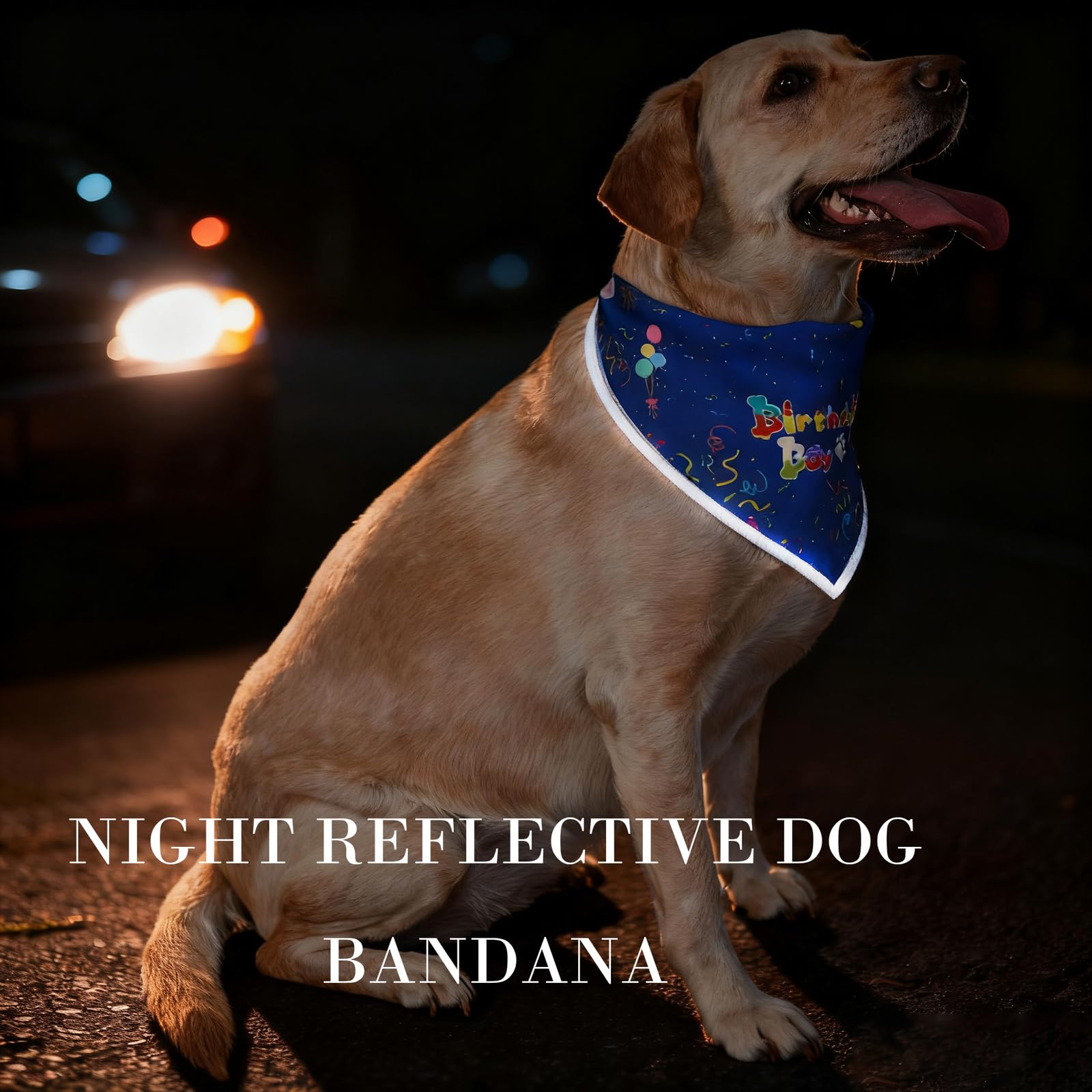 PAPIAMEN Birthday Dog Bandanas Boy,Blue Reflective Dogs Scarfs for Birthday Party Decorations Supplies for Dogs Pet Accessories,Cat Dogs Triangle Pet Scarves for Large Dogs Outfit,L