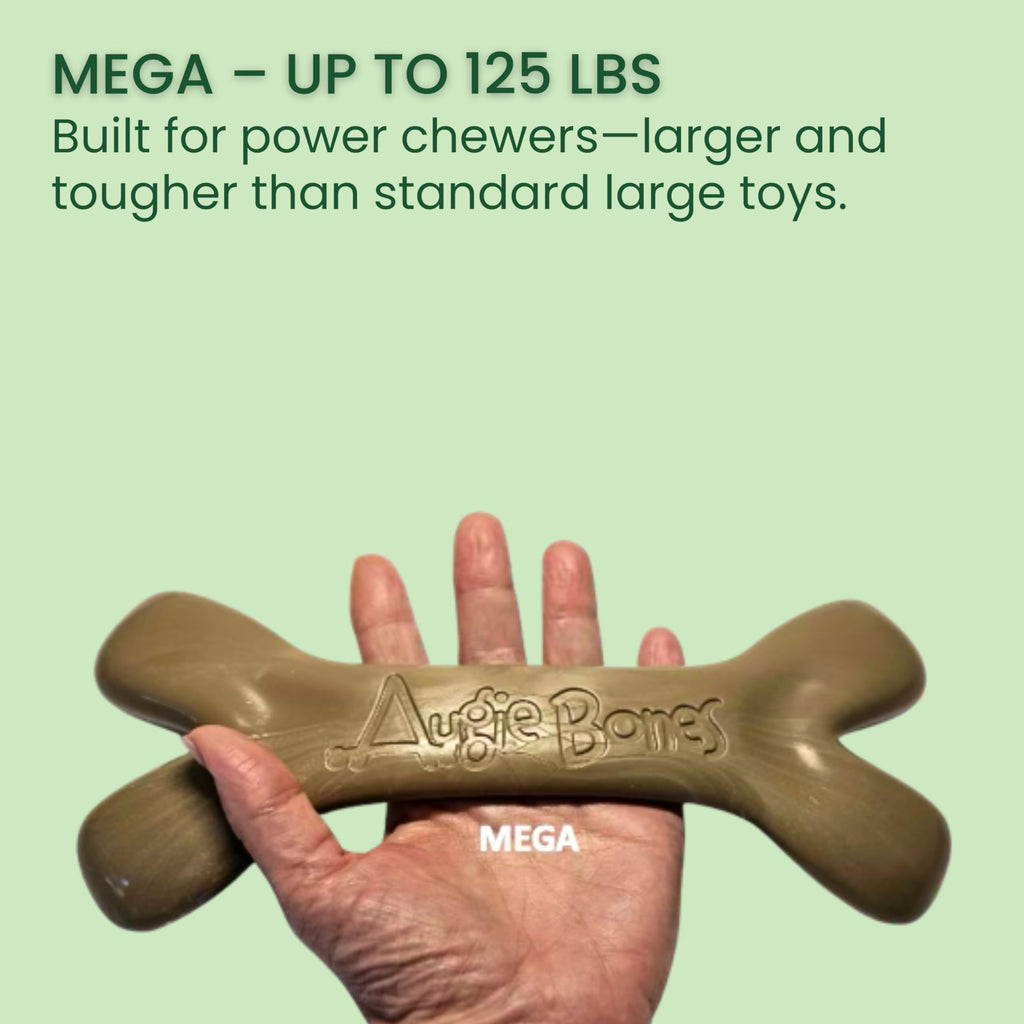 Augie Bones Non-Toxic Dog Toys - Sustainable Beef Flavored Dog Chew Toys for Aggressive Chewers - Plant-Based Bioplastic Pet Toys - Made in The USA (Mega)