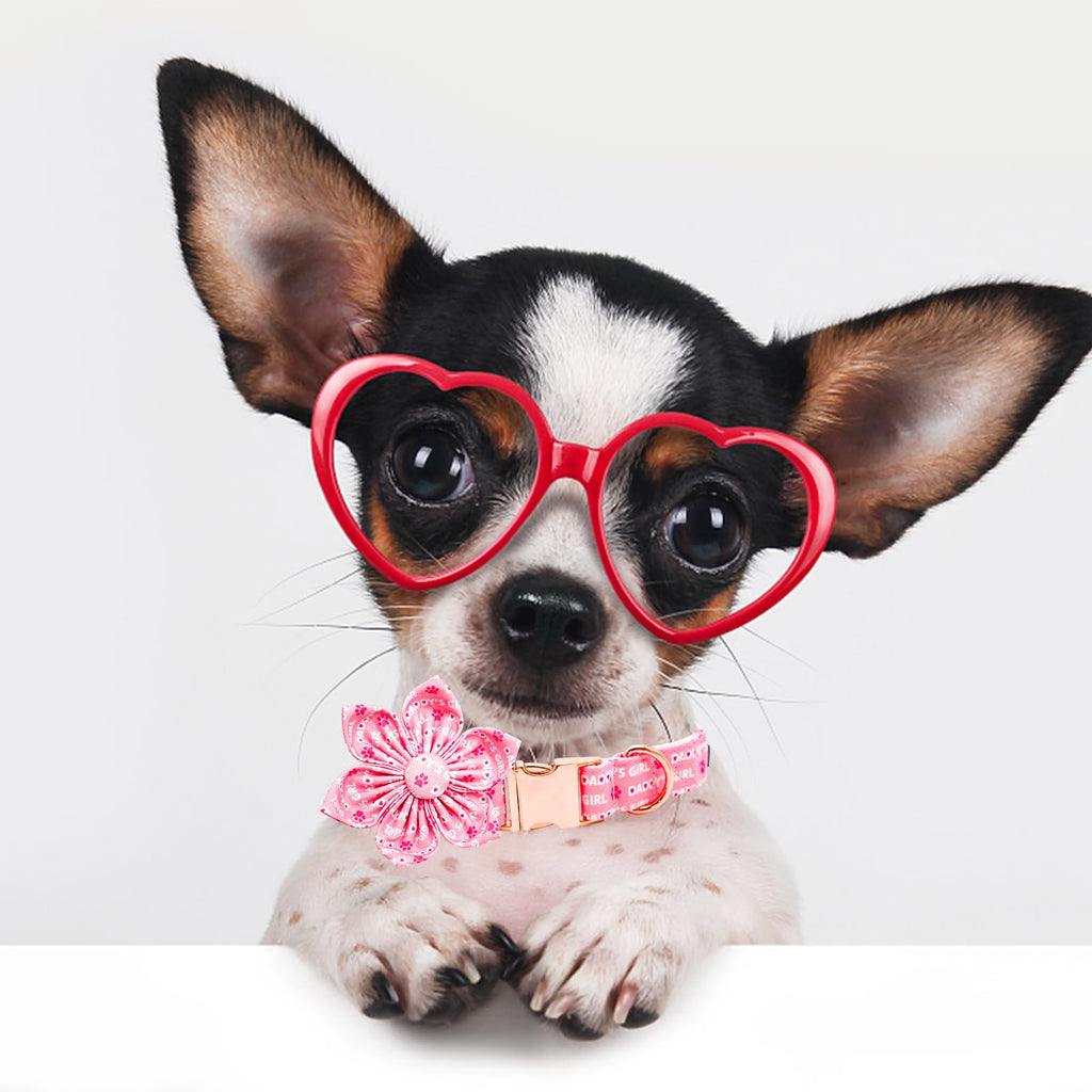 Lionheart glory Valentine's Day Dog Collar with Flower Dog Collars Pink Collars for Small Dogs, Spring Pet Puppy Collar Flowers