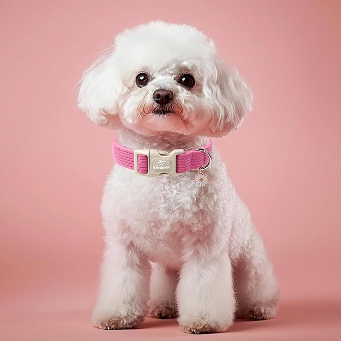 Babole Pet Cute Corduroy Dog Collar - Deep Rose Adjustable Dog Collars for Medium Dogs 25-50lbs, Fade-Proof with Secure Snap & Little Charm, Christmas Birthday Gift, M