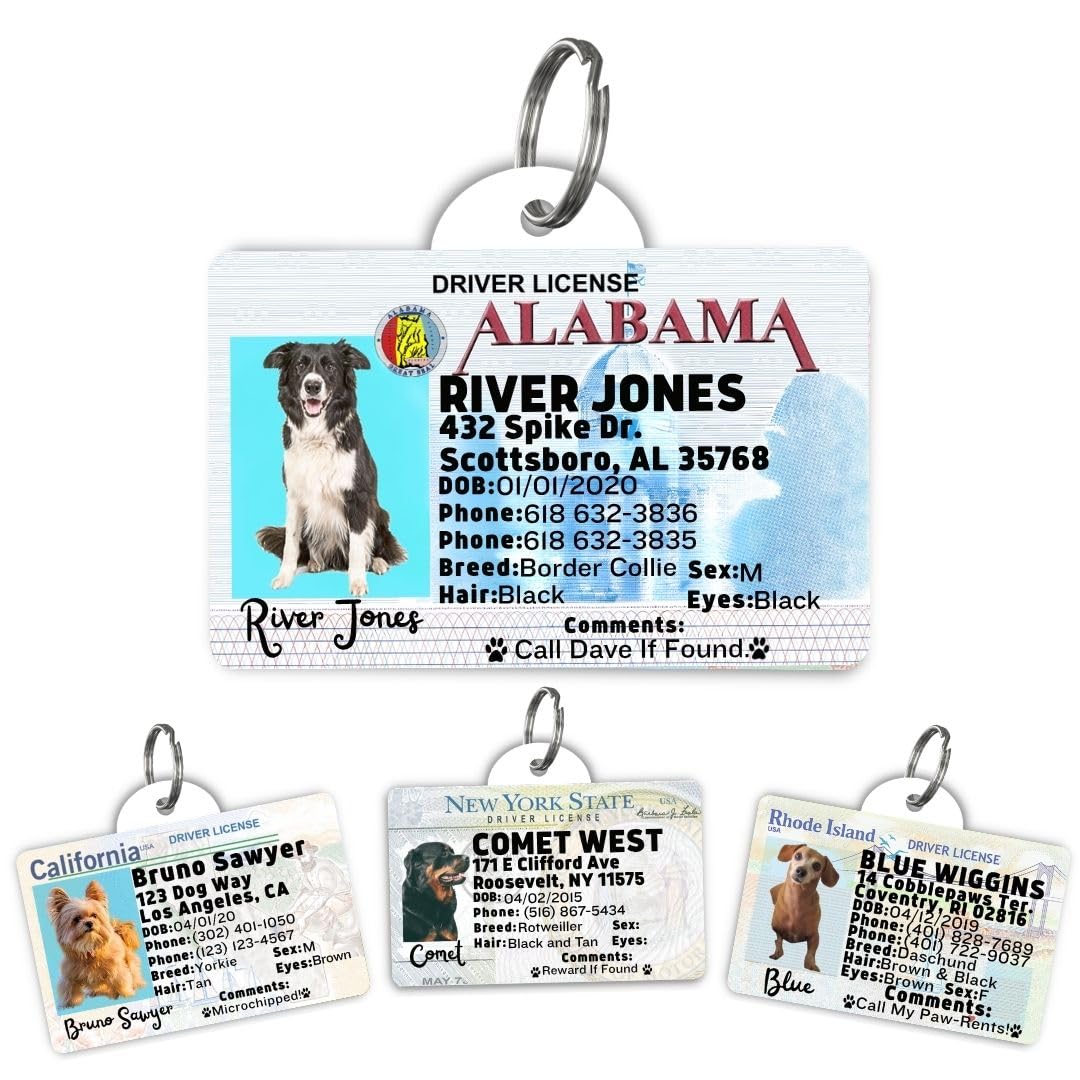 Dog Tags Personalized, Dog ID License Tag for Pets (Washington, Tag)