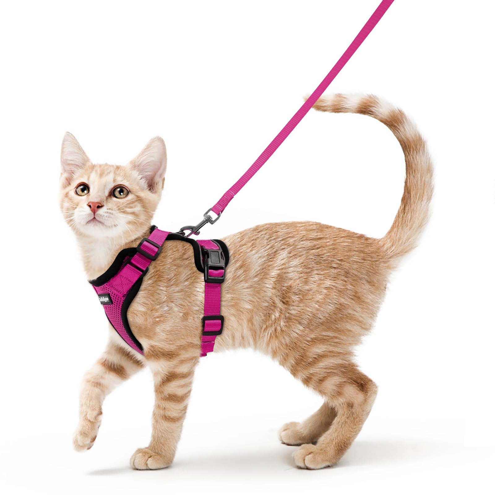 rabbitgoo Cat Harness and Leash Set, Escape Proof Vest, Emerald