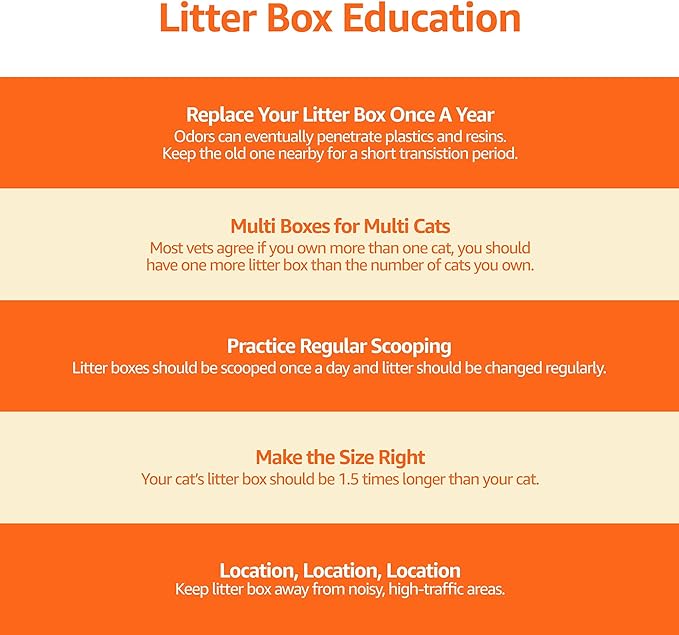 Amazon Basics Large Cat Litter Box with High Sides, Open Top for Easy Access, Includes Scoop with Storage, 19" x 15" x 11.75", Grey/Beige