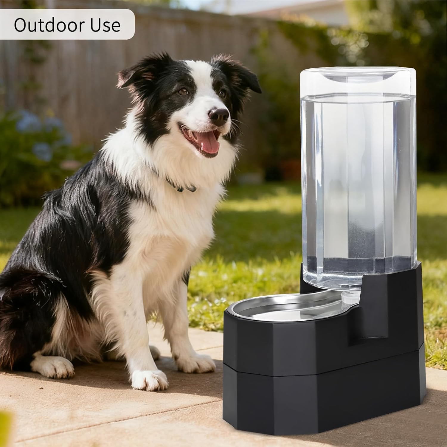 Sfozstra 9L Elevated Dog Water Dispenser: Senior Dog Friendly
