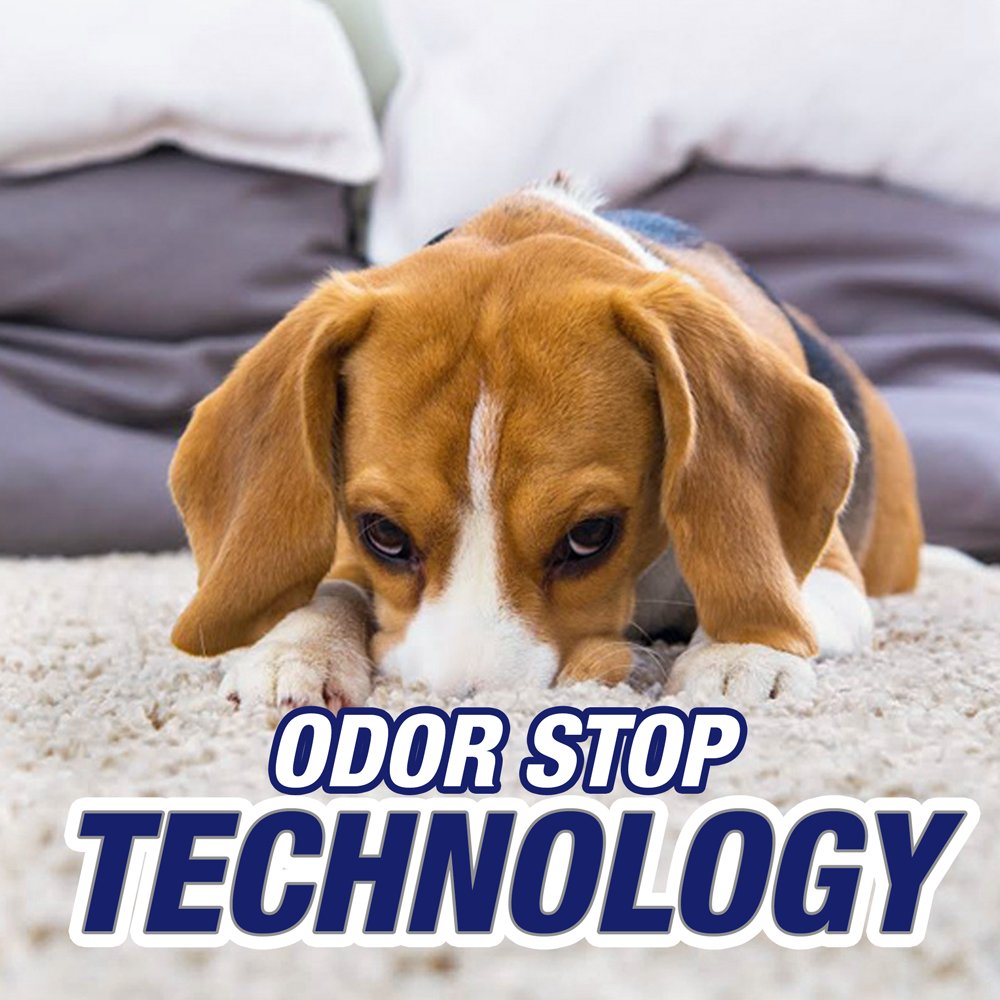 Resolve Pet Expert Stain and Odor Remover, Carpet Cleaner, Pet Stain and Odor Remover, Carpet & Upholstery Cleaner - Removes Stains and Odors, 22 oz (pack of 6)