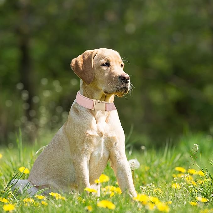 YUDOTE Soft Cotton Dog Collar with Metal Buckle Adjustable Heavy Duty Comfy Corduroy Collars for Small Medium Large Dogs,Light Pink,Medium