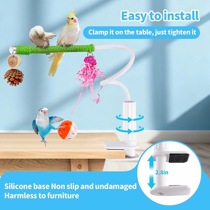 ZooVibe Bird Perch Stand with Swing, Desktop Bird Toy & Stand for Interacting, Interactive Playground for Sun Conure, Lovebirds, Conure, Budgie, Cockatiel - Non-Slip Adjustable Perch