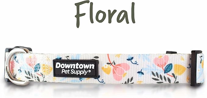Downtown Pet Supply - Best & Fancy Dog Collar - Lightweight Adjustable with Quick Buckle & D-Ring - Hand Wash Safe - Floral - Large