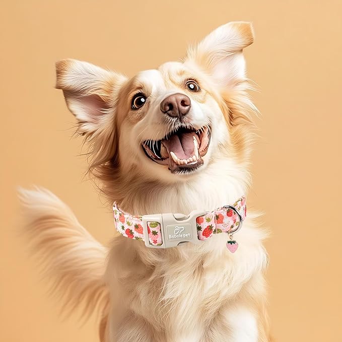 Babole Pet Strawberry Dog Collar for Small Dogs - Cute Spring Pink Dog Collars, Summer Pastel Puppy Collars, Soft Adjustable Boy Girl Dogs Collar with Quick-Release Buckle XS