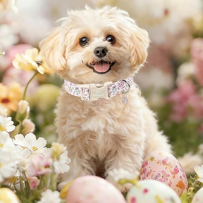 Easter Dog Collar for Medium Dogs - Easter Egg Pastel Dog Collars, Cute Girl Dogs Collar, Lightweight Adjustable Pink Spring Holiaday Dog Collars with Quick Release Buckle M