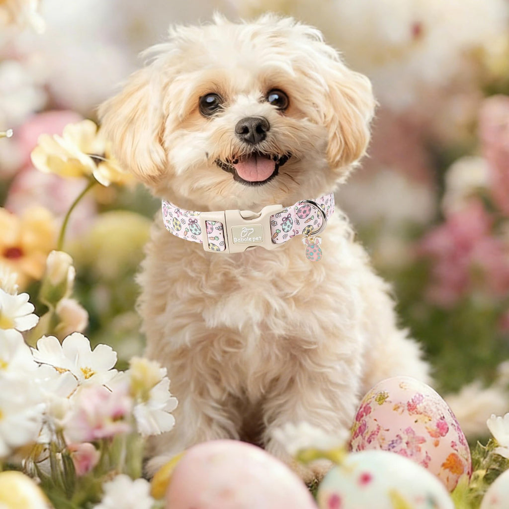 Babole Pet Easter Dog Collar for Giant Large Dogs - Easter Egg Pastel Dog Collars, Cute Girl Dogs Collar, Lightweight Adjustable Pink Spring Holiaday Dog Collars with Quick Release Bucklee XL