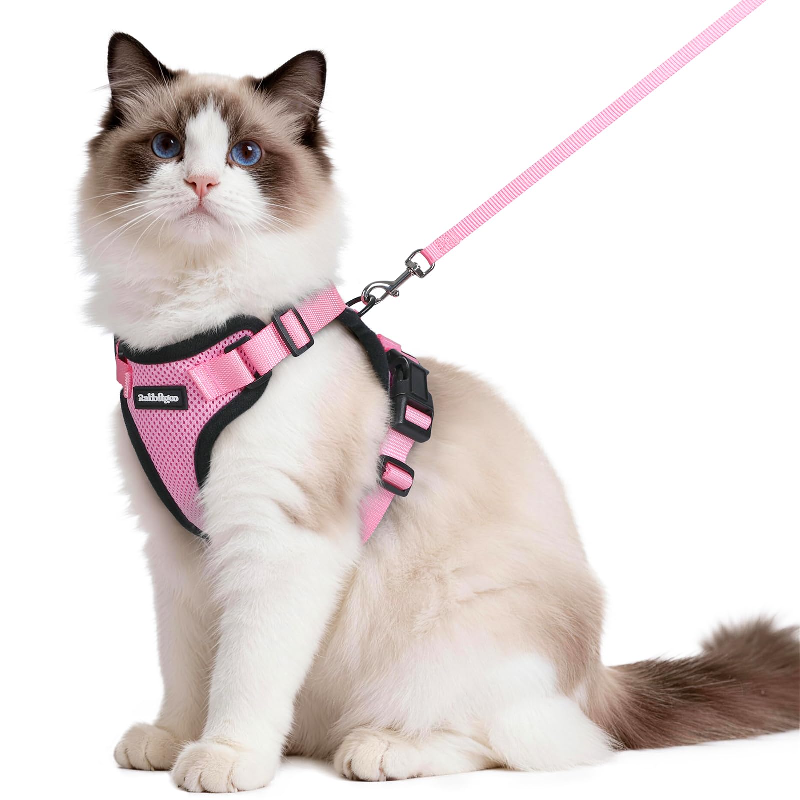 rabbitgoo Cat Harness and Leash Set, Escape Proof Vest, Emerald