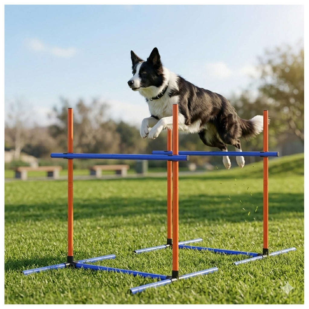 Uzpomel Dog Agility Equipment Set with Tunnel & Obstacles for Training