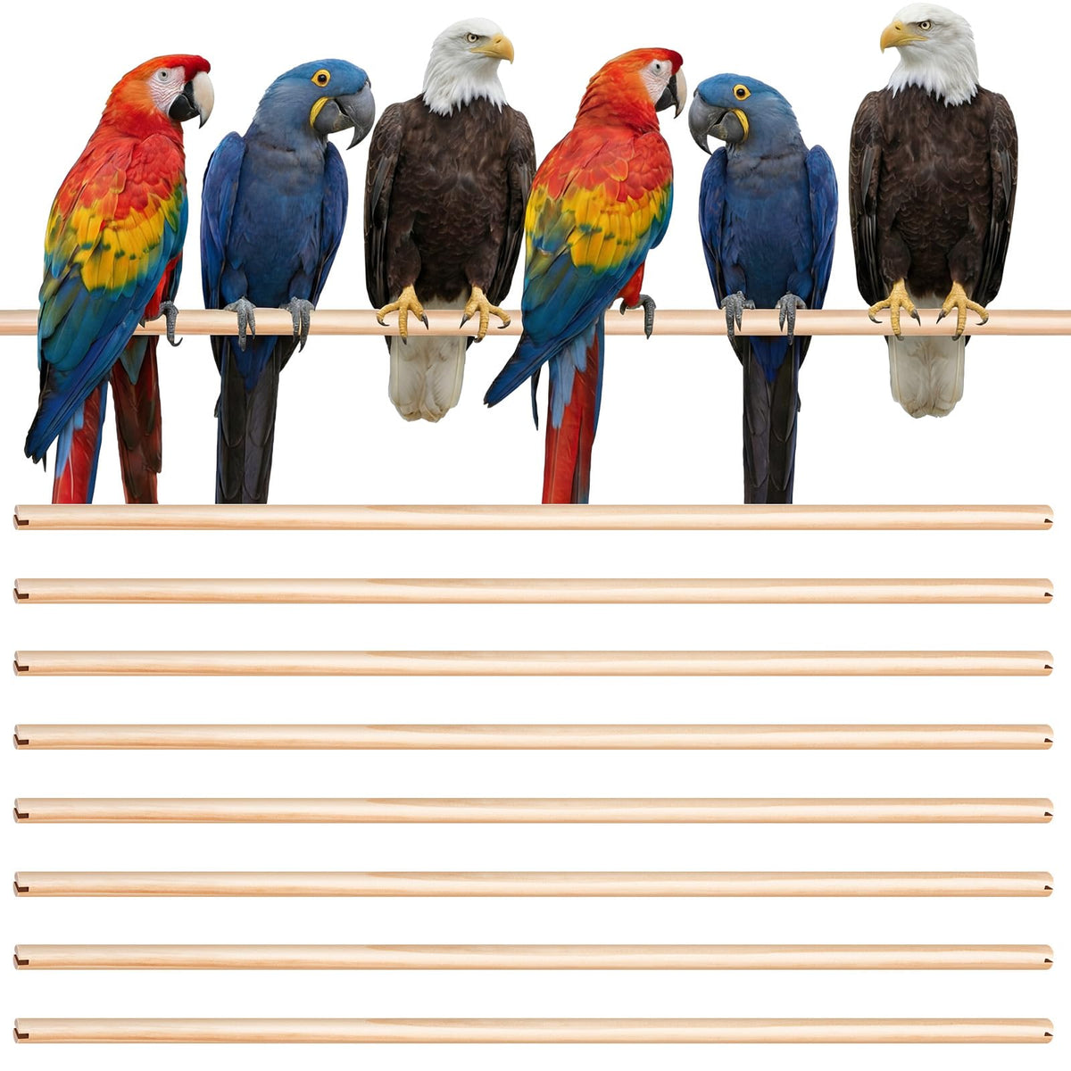 Sintuff Bird Perches Natural Wood Double Slots, 24 Inches, 8 Pcs