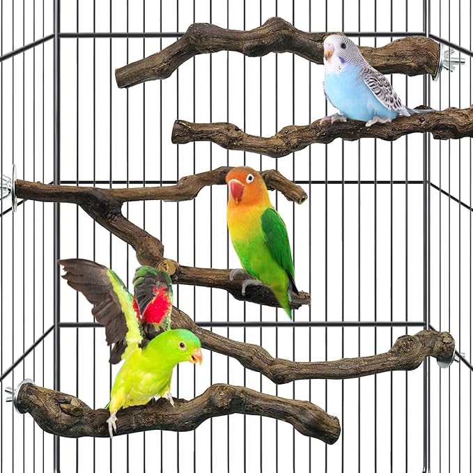 kathson Natural Parrot Perch Bird Stand Pole Wild Grape Stick Paw Grinding Fork Parakeet Climbing Standing Branches Toy Chewable Cage Accessories for Small Budgies Cockatiels Lovebirds 4PCS