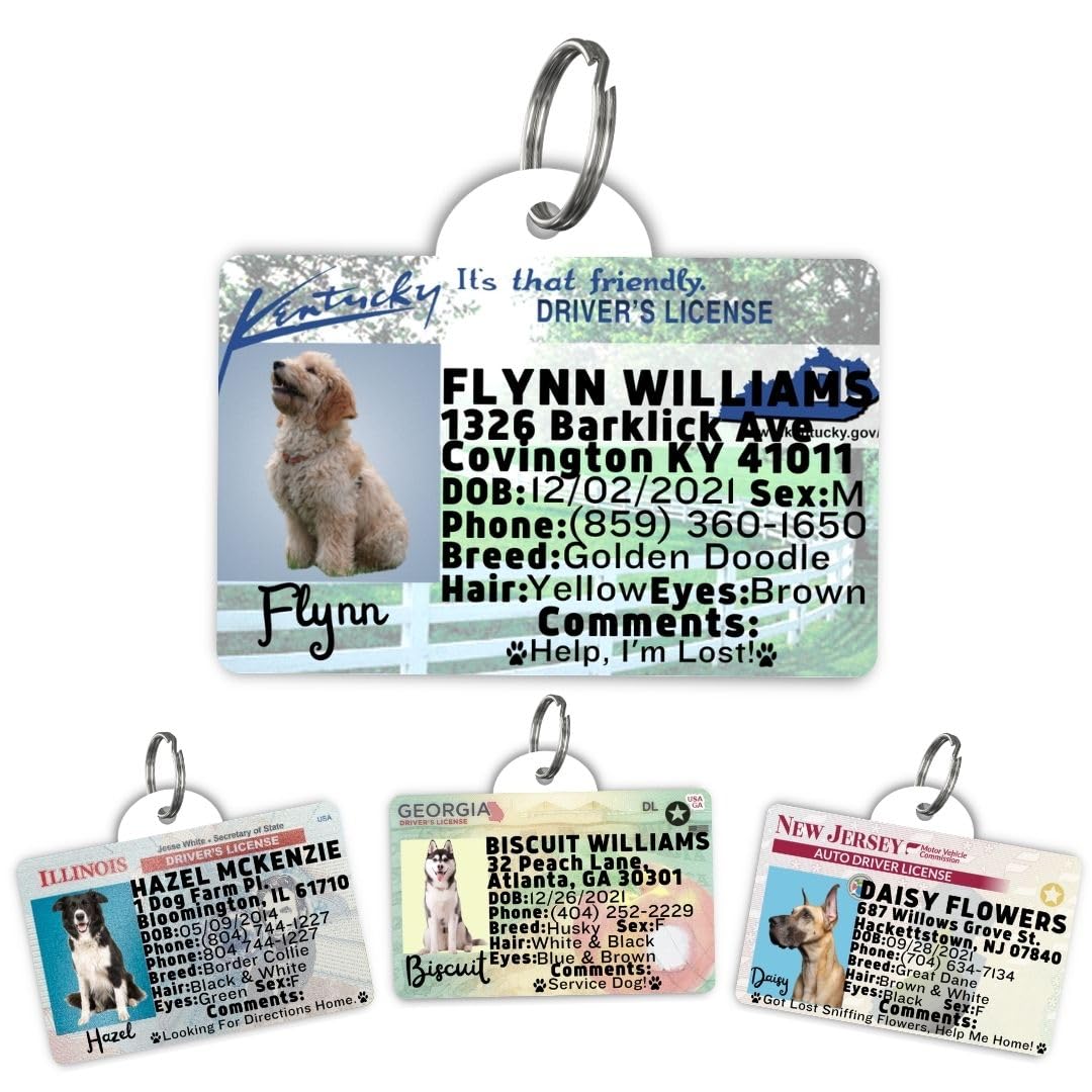 Dog Tags Personalized, Dog ID License Tag for Pets (Washington, Tag)